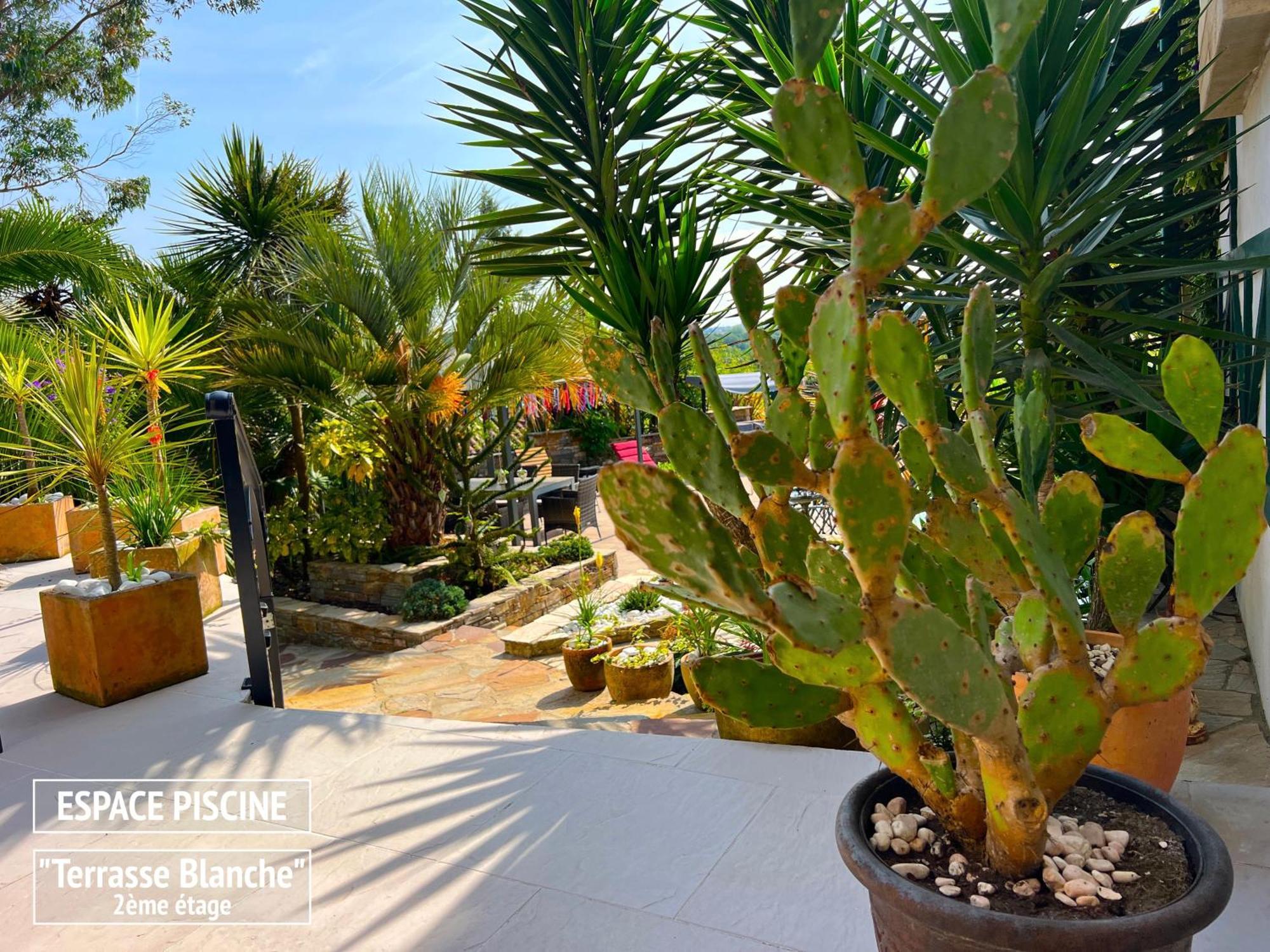 Villa Merkel - 27 Pers - 11 Chambr - 10 Wc - Piscine アングレット エクステリア 写真